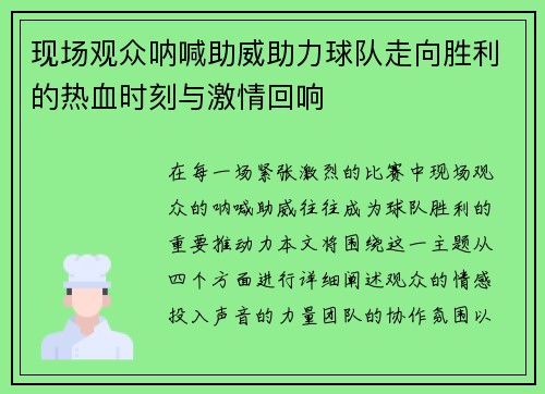 现场观众呐喊助威助力球队走向胜利的热血时刻与激情回响